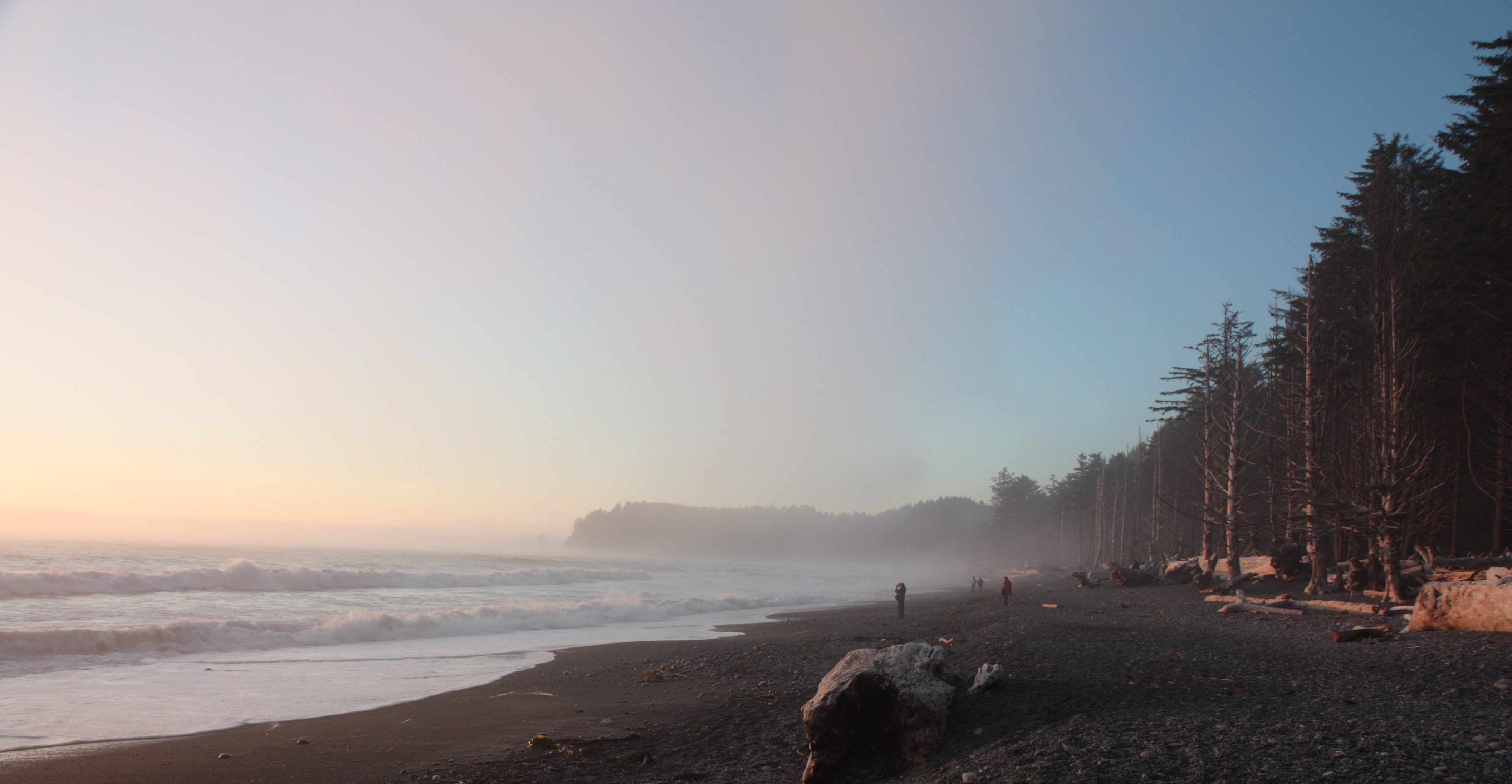 Olympic NP